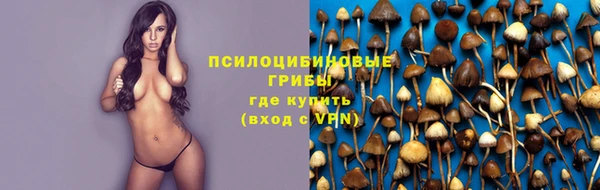 МДПВ Верея