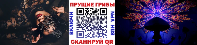Галлюциногенные грибы Psilocybe  hydra как зайти  Губаха 
