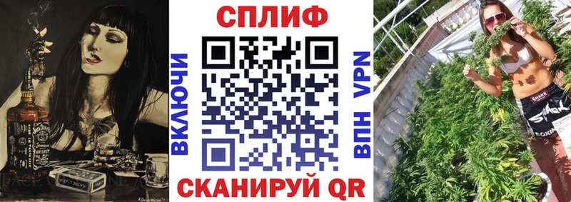 где купить   mega маркетплейс  Каннабис тримм  Губаха 